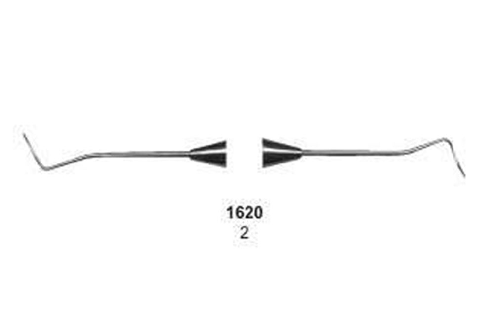 Explorers Double Ended - Octagonal