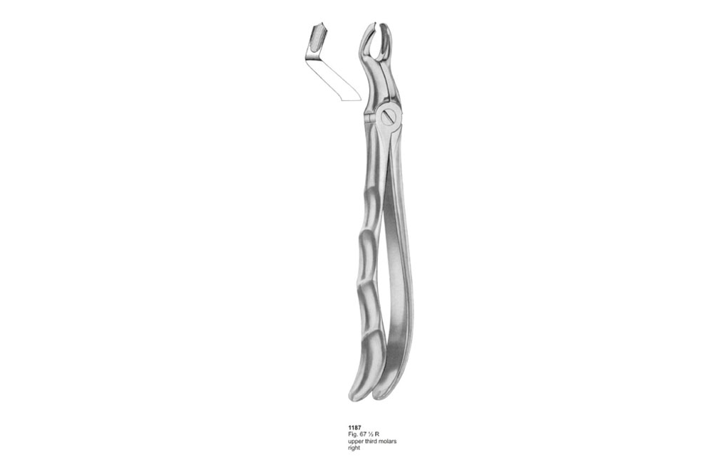 Extracting Forceps